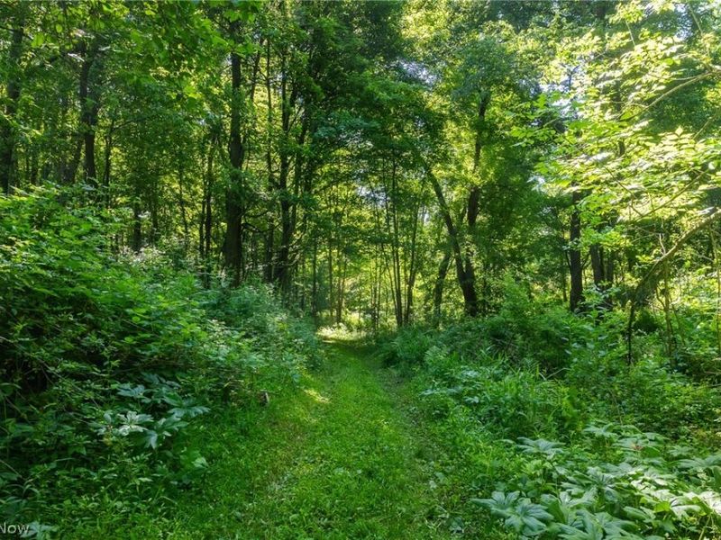 Ridge Rd, Minerva, OH 44657 Photo 20