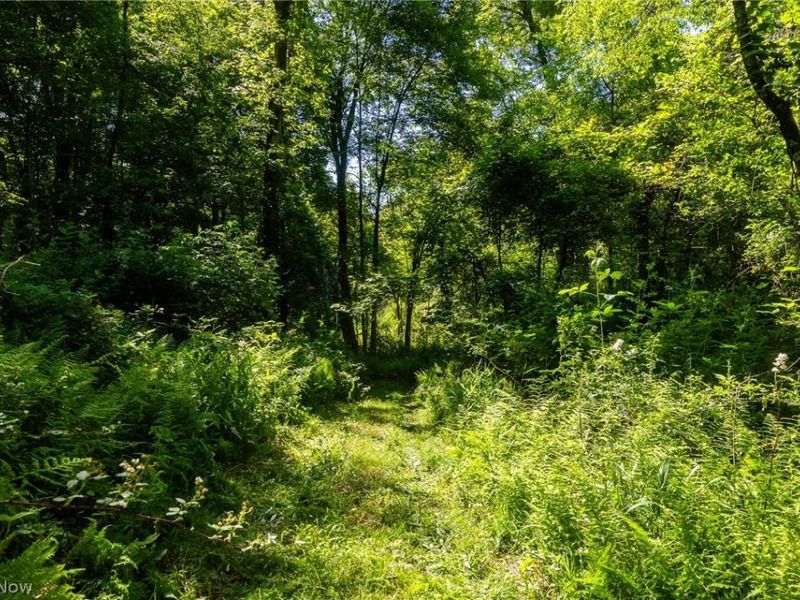 Ridge Rd, Minerva, OH 44657 Photo 24