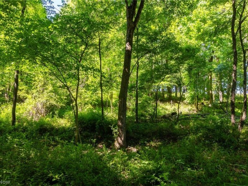 Ridge Rd, Minerva, OH 44657 Photo 28