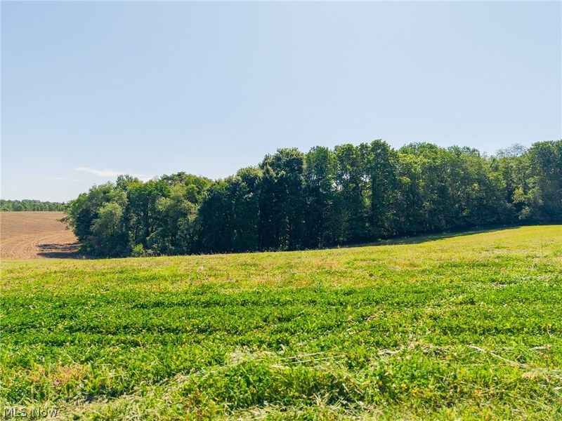 Ridge Rd, Minerva, OH 44657 Photo 29