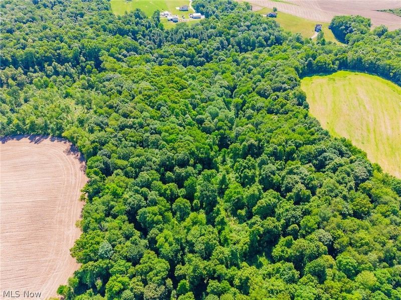 Ridge Rd, Minerva, OH 44657 Photo 35