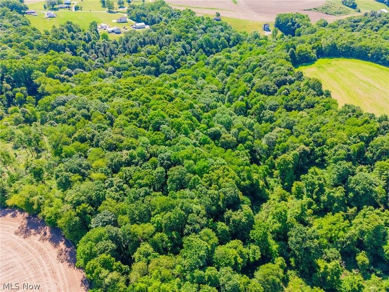 Ridge Rd, Minerva, OH 44657 Photo 36