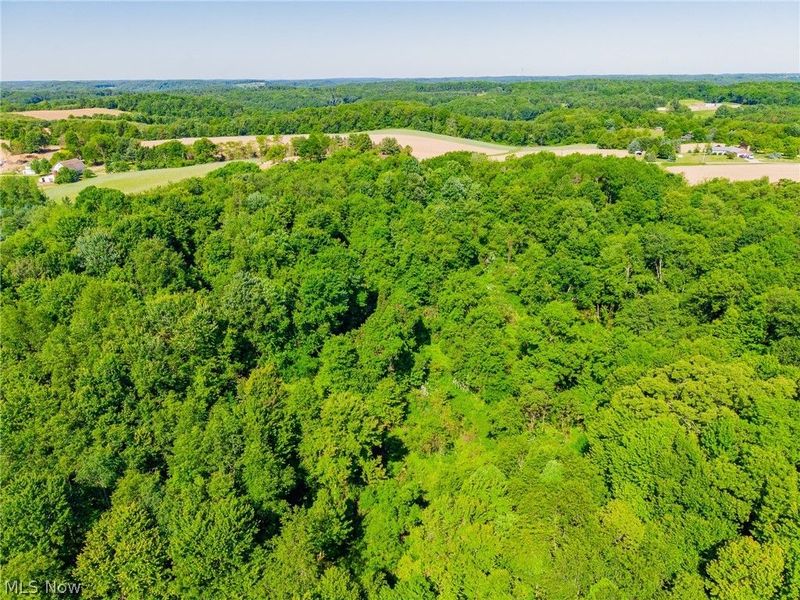 Ridge Rd, Minerva, OH 44657 Photo 39