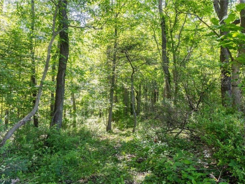 Ridge Rd, Minerva, OH 44657 Photo 4
