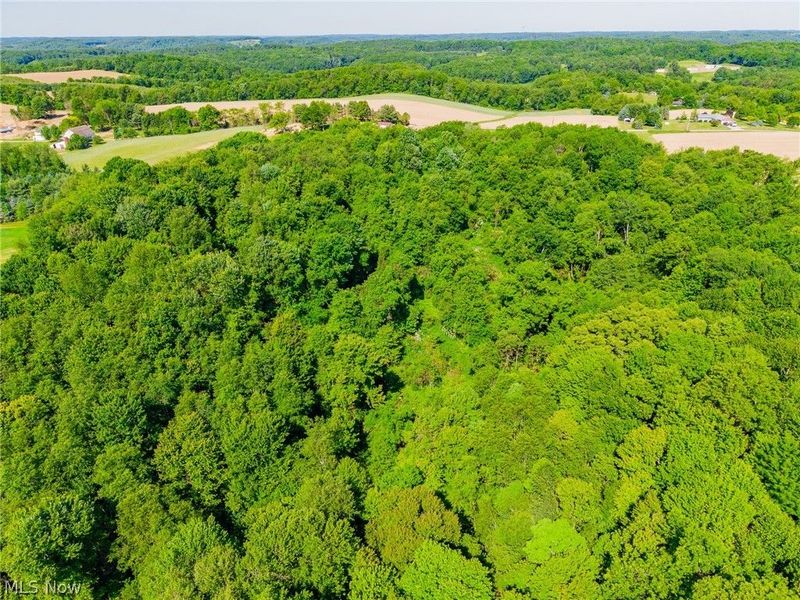 Ridge Rd, Minerva, OH 44657 Photo 40