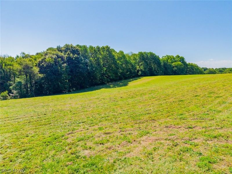 Ridge Rd, Minerva, OH 44657 Photo 49