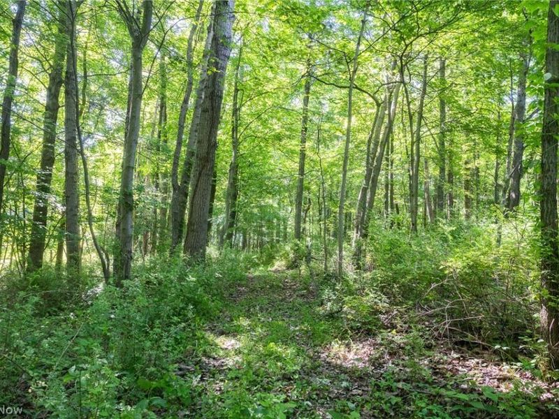 Ridge Rd, Minerva, OH 44657 Photo 5