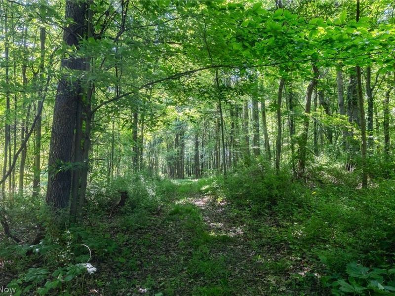 Ridge Rd, Minerva, OH 44657 Photo 6