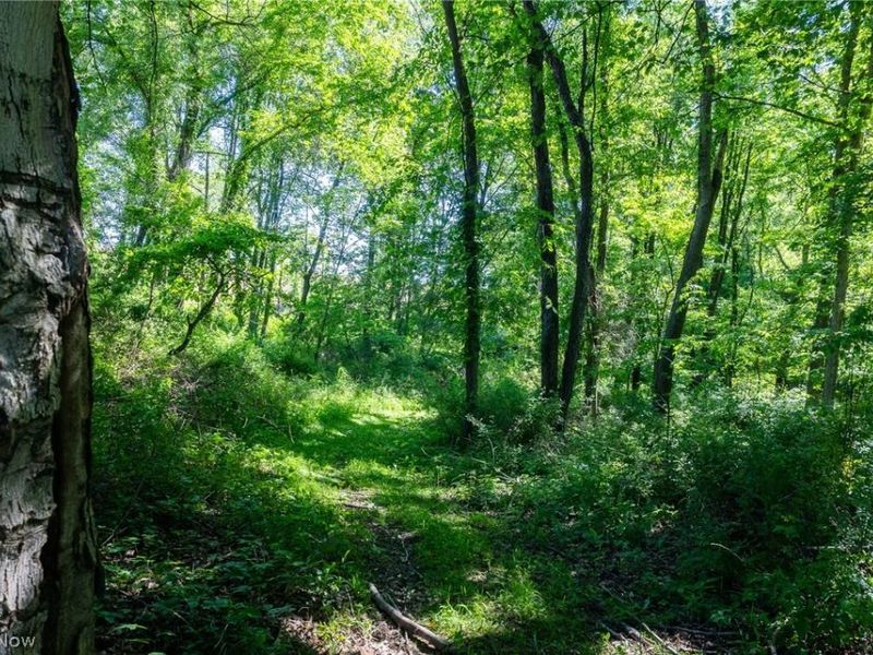 Ridge Rd, Minerva, OH 44657 Photo 8