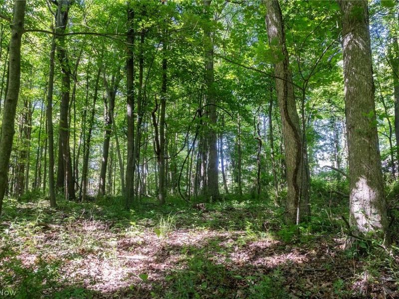 Ridge Rd, Minerva, OH 44657 Photo 9
