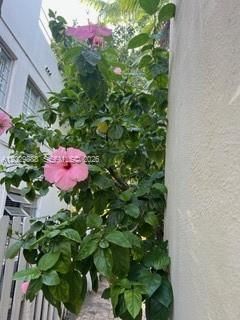 928 Euclid Ave, Unit 2, Miami Beach, FL 33139 Photo