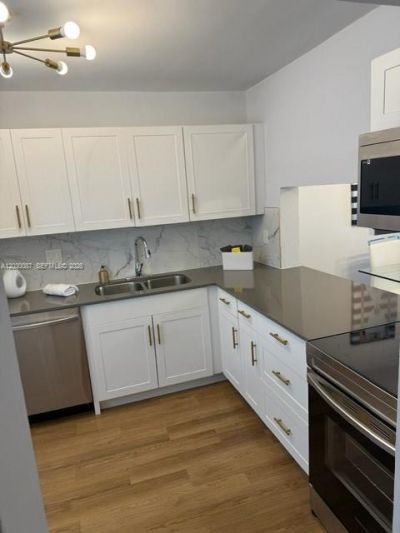 215 SE 3rd Ave , Unit 206A, Hallandale Beach, FL 33009 Photo