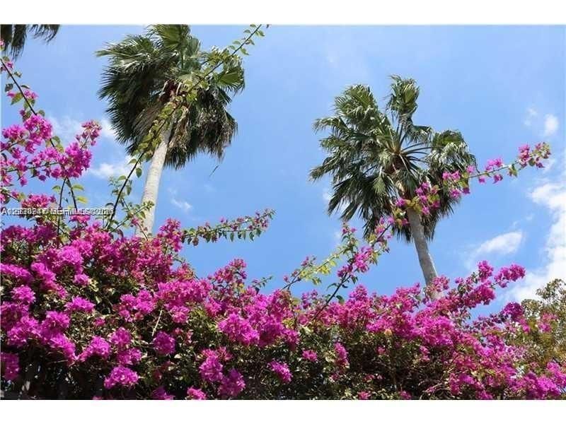 8320 Crespi Blvd, Unit 11, Miami Beach, FL 33141 Photo