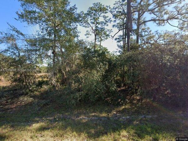 1334 ST Augustine Court , Kissimmee, FL 34759