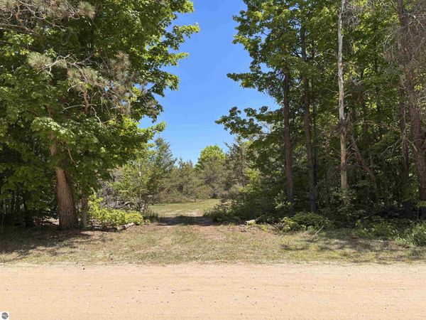 99 Pine Tree Lane, Beulah, MI 49617