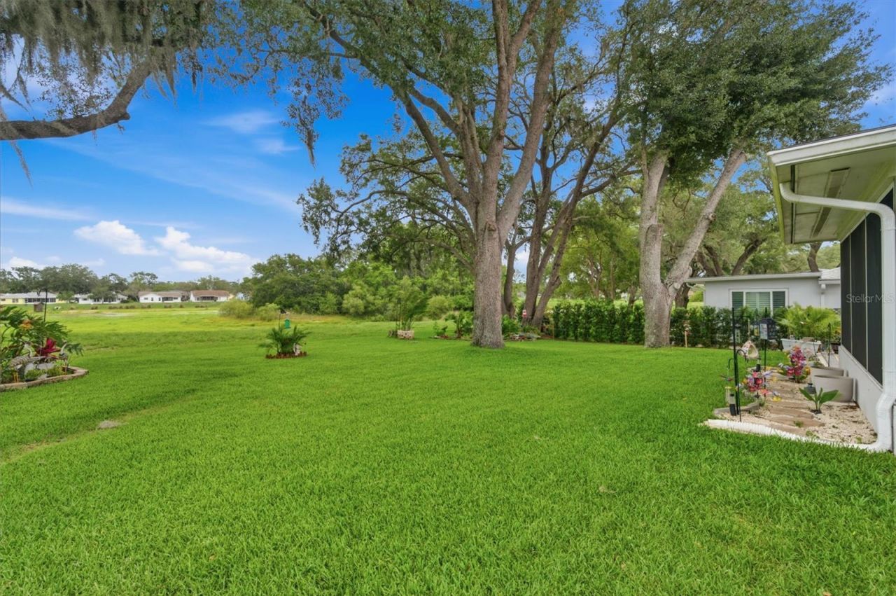 8715 Benton Drive , Port Richey, FL 34668 Photo
