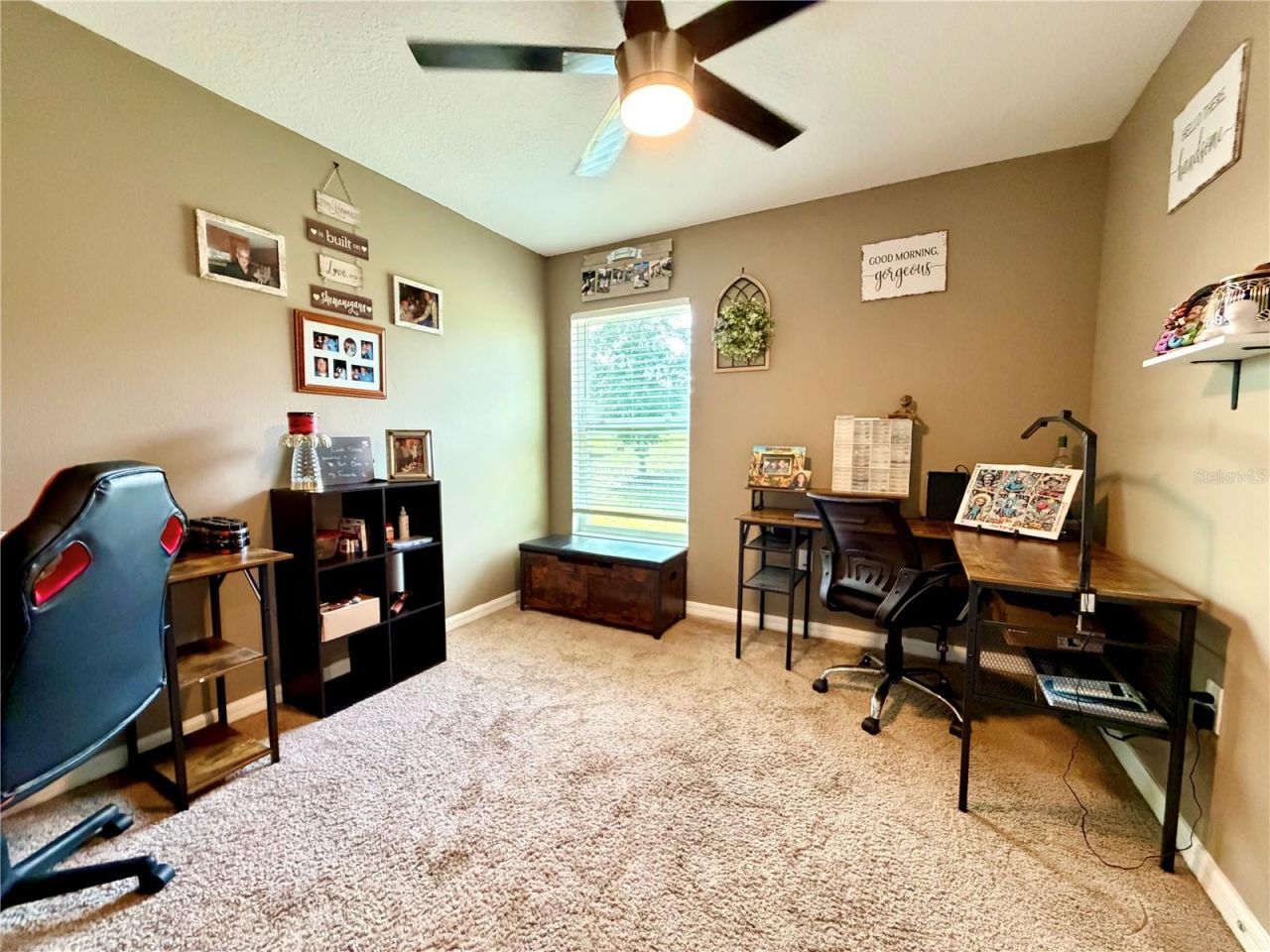 11991 Callicarpa Lane , Leesburg, FL 34788 Photo