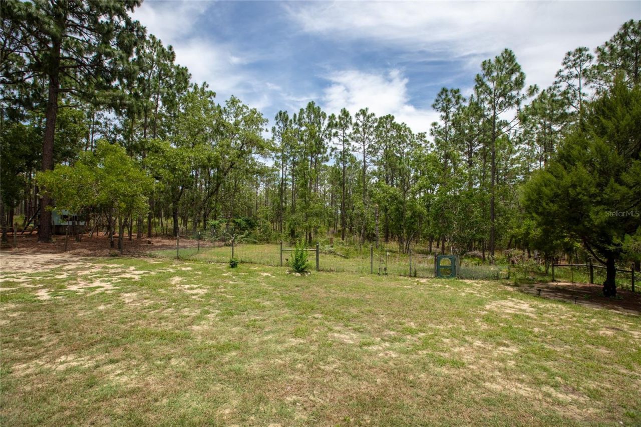 249 Melrose Landing Drive , Hawthorne, FL 32640 Photo