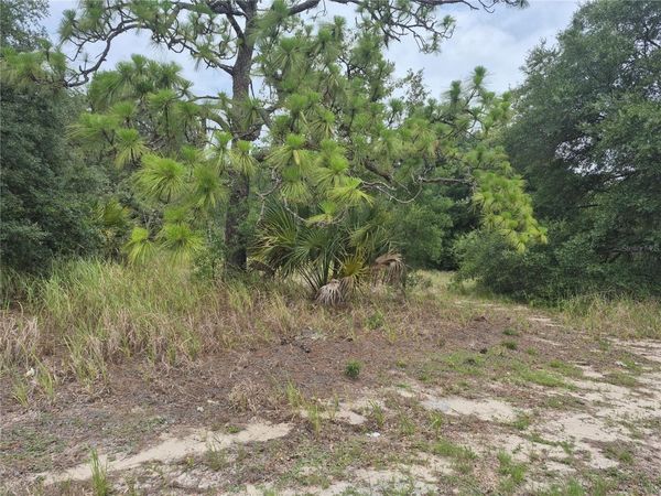 1626 S US 301 , SUMTERVILLE, FL 33585