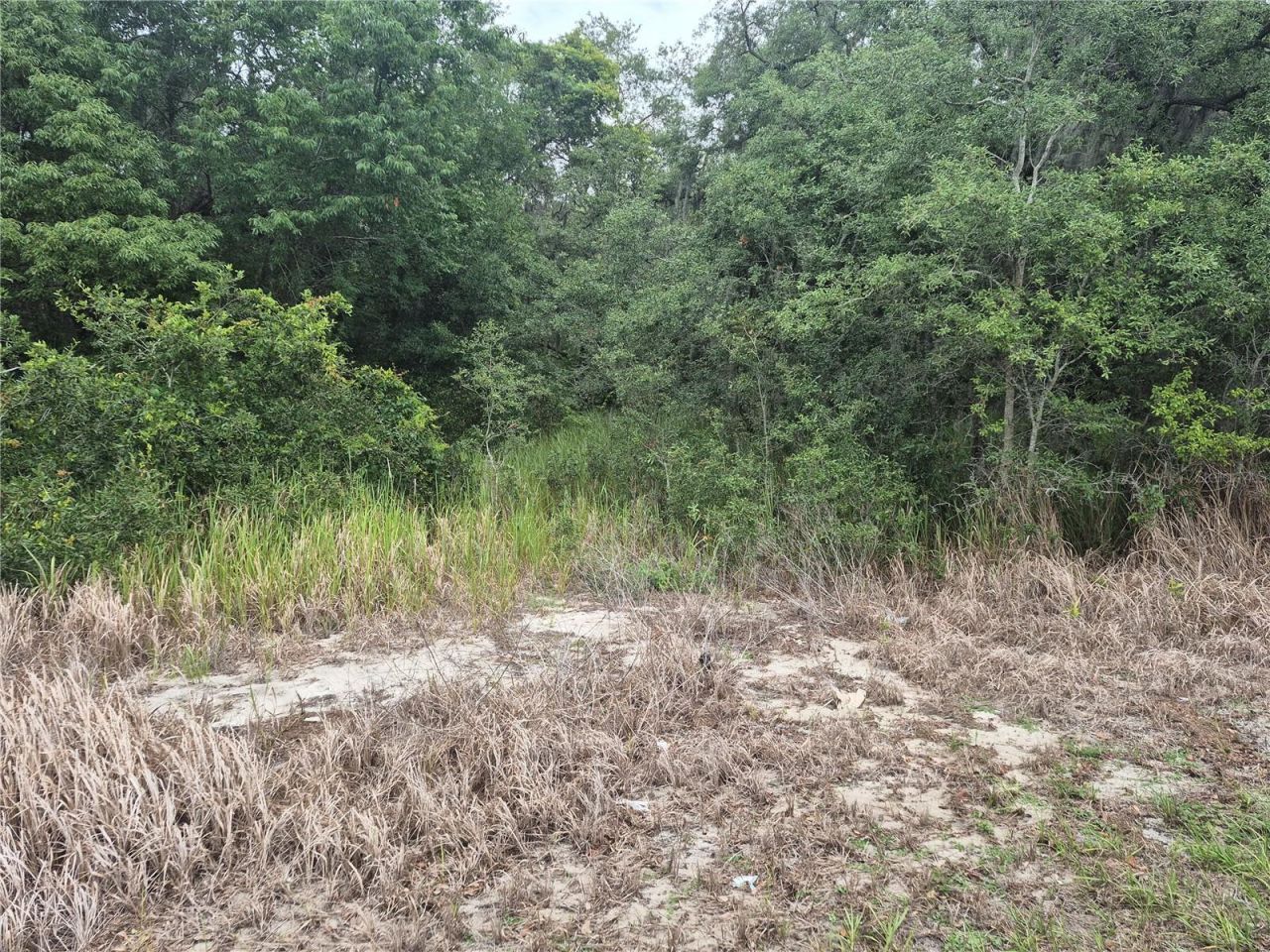 1626 S Us 301 , Sumterville, FL 33585 Photo