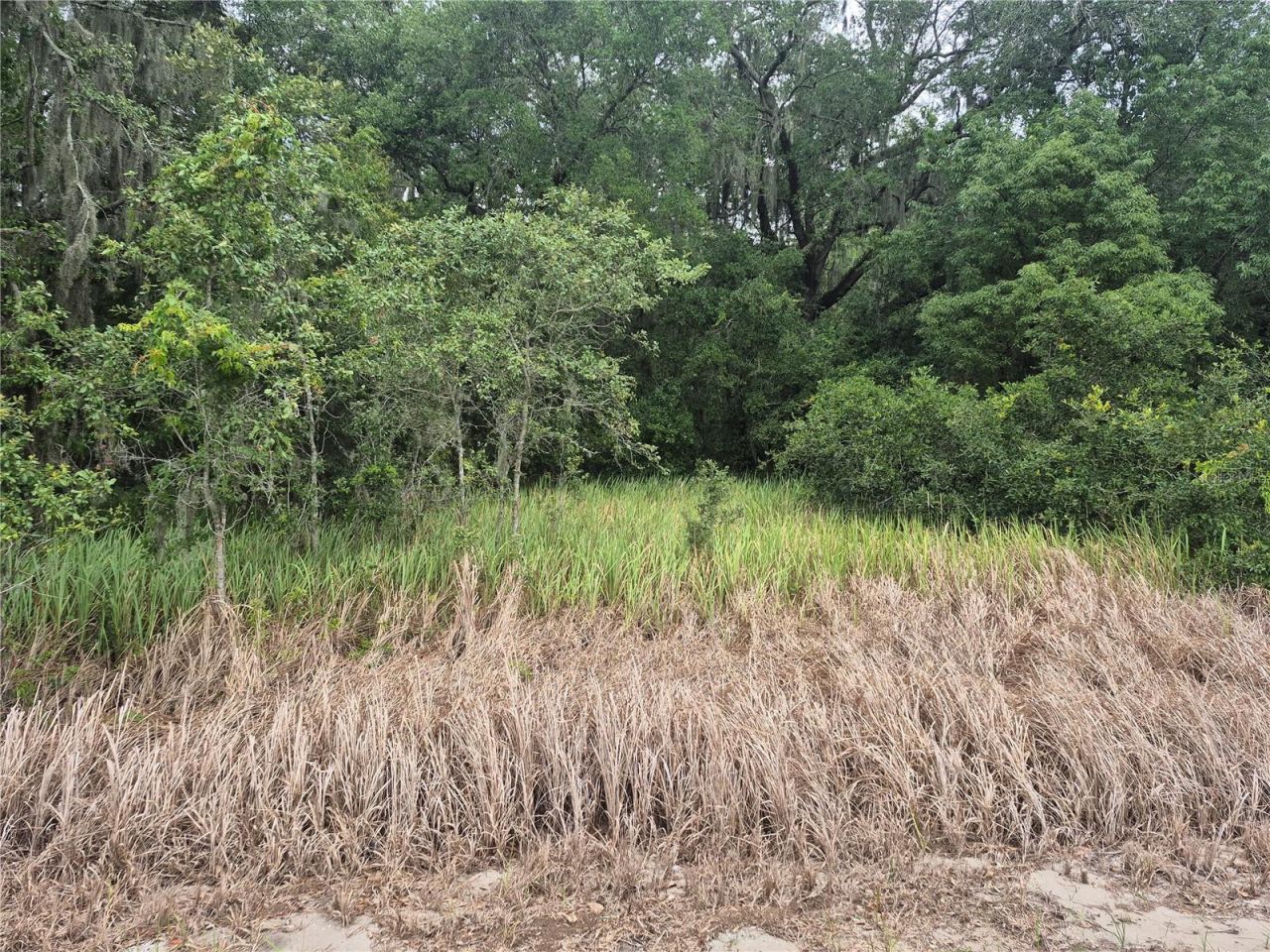1626 S Us 301 , Sumterville, FL 33585 Photo