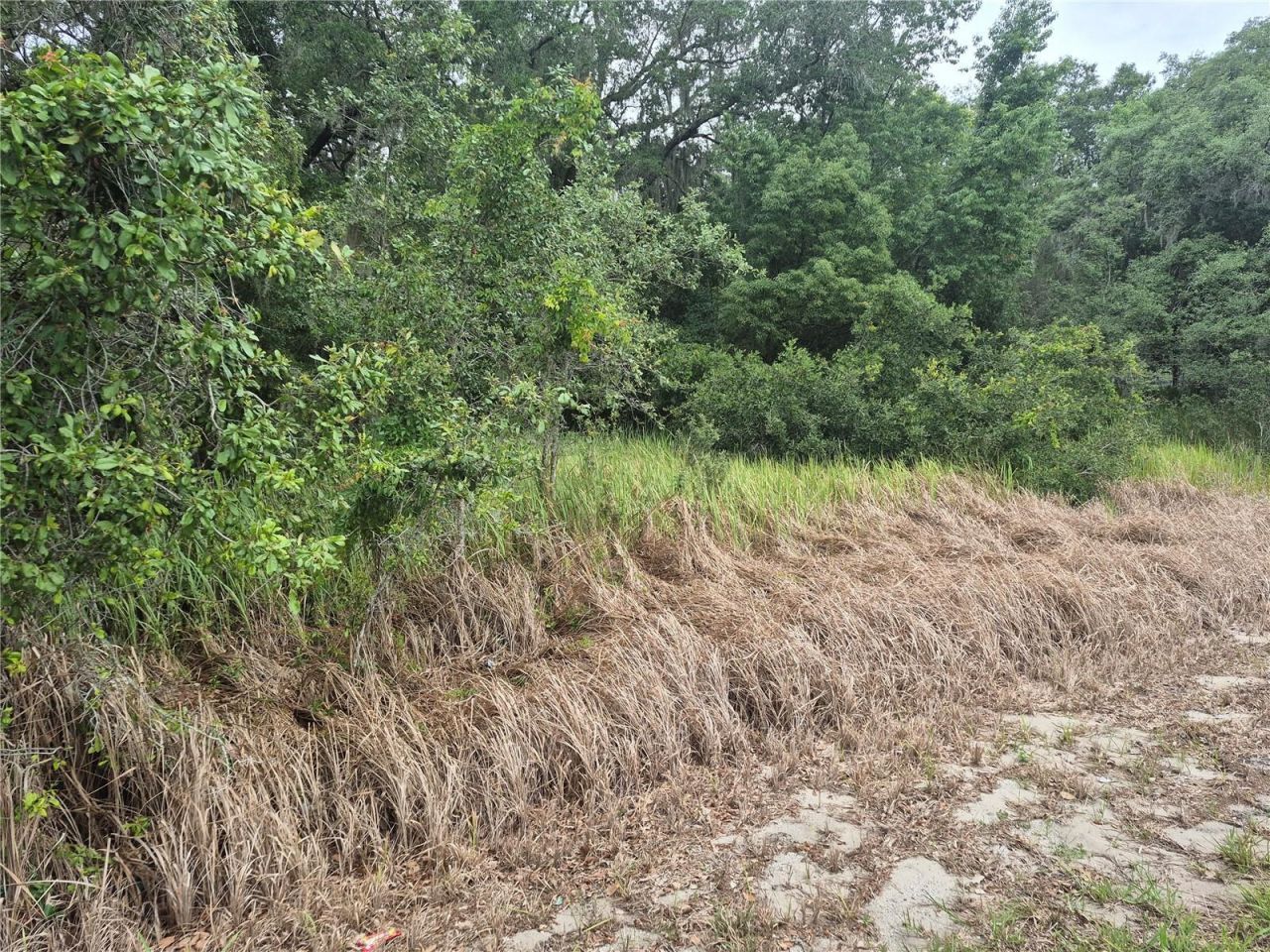 1626 S Us 301 , Sumterville, FL 33585 Photo