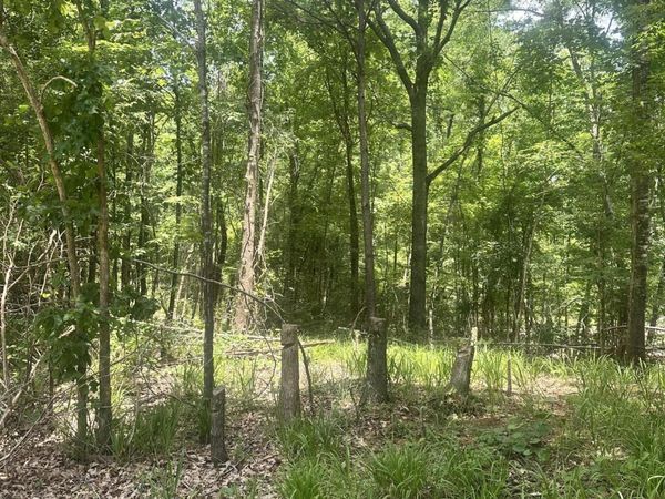 Lakeridge Road, Grenada, MS 38901