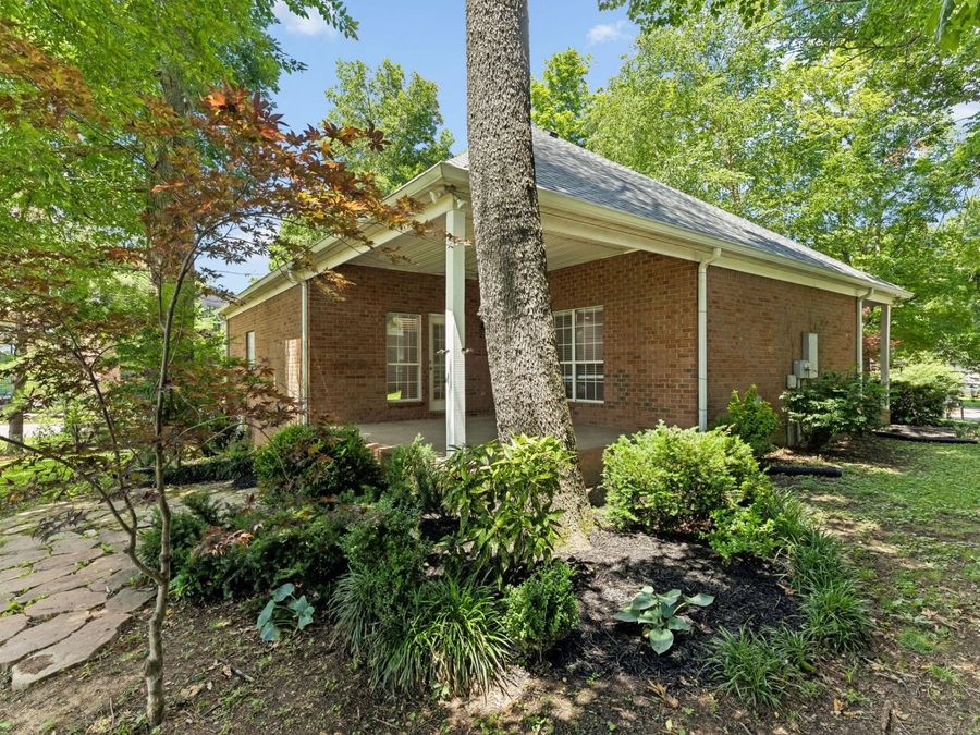 Property Image 56