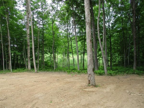 2982 MAPLE WAY / 28 7/16 Avenue, Birchwood, WI 54817