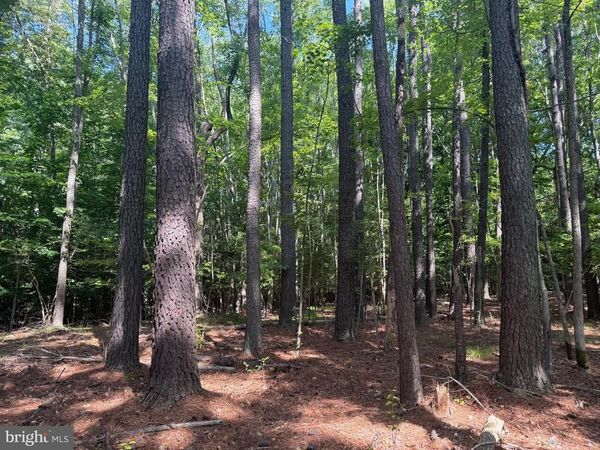 13435 DOWELL ROAD, SOLOMONS, MD 20688
