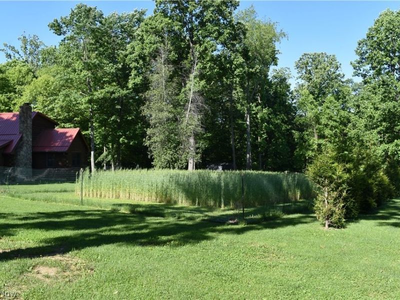 205 Stratton Lane, Flushing, OH 43977 Photo 14