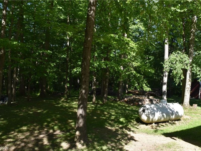 205 Stratton Lane, Flushing, OH 43977 Photo 17