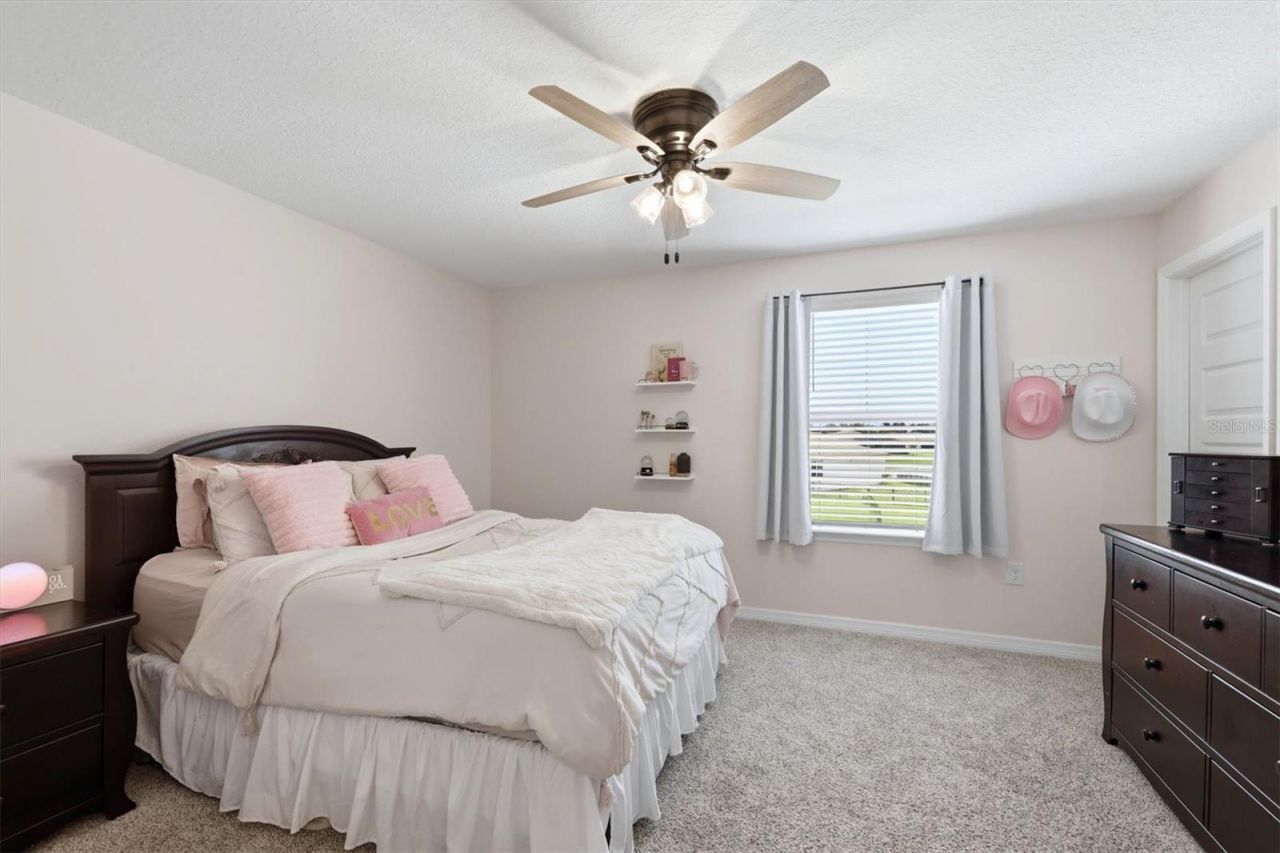 14026 Ginnie Springs Way, Parrish, FL 34219 Photo