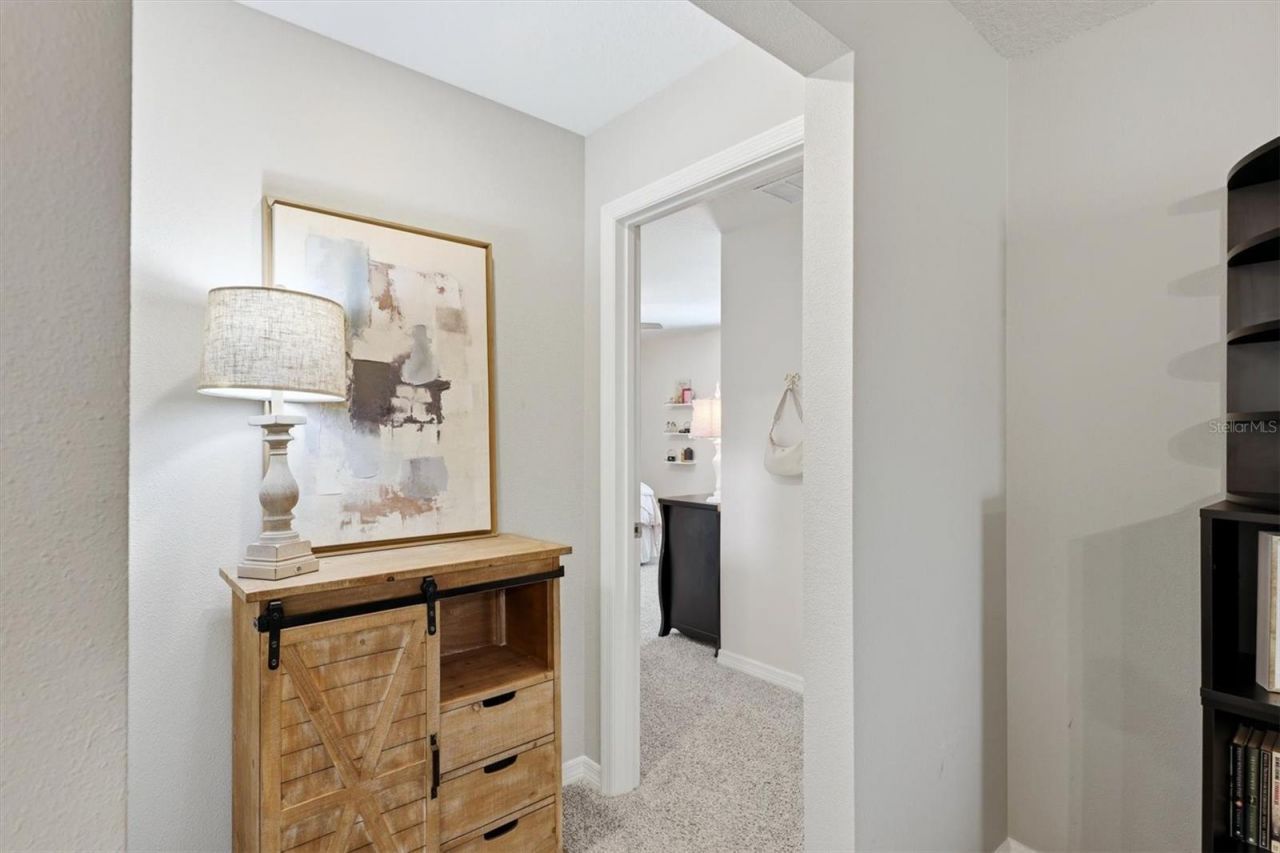 14026 Ginnie Springs Way, Parrish, FL 34219 Photo