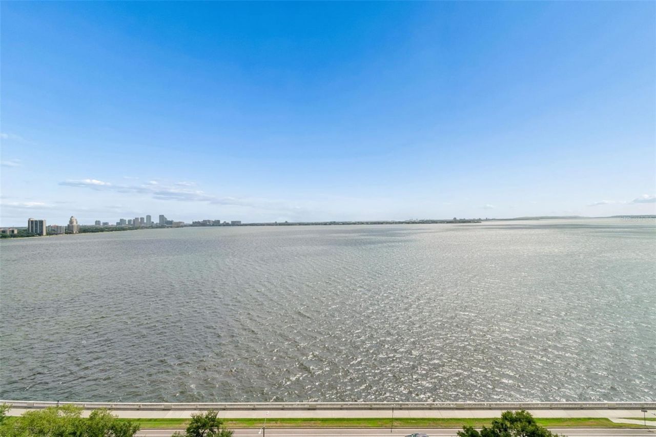 3435 Bayshore Boulevard, Unit 1401S, Tampa, FL 33629 Photo