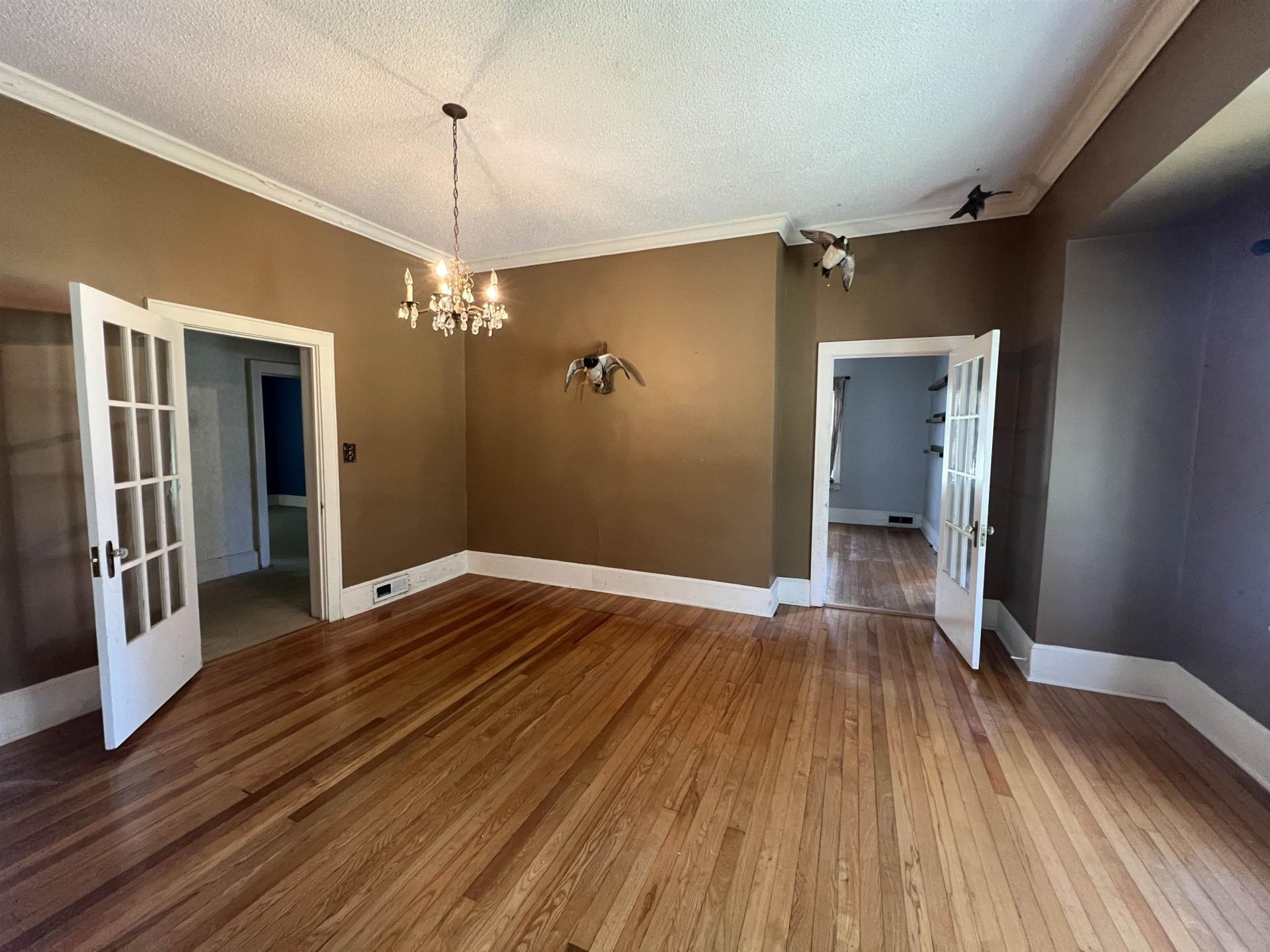 23 Society St.  Photo 18
