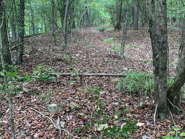 XX BAROID Road, Magnet Cove, AR 72104