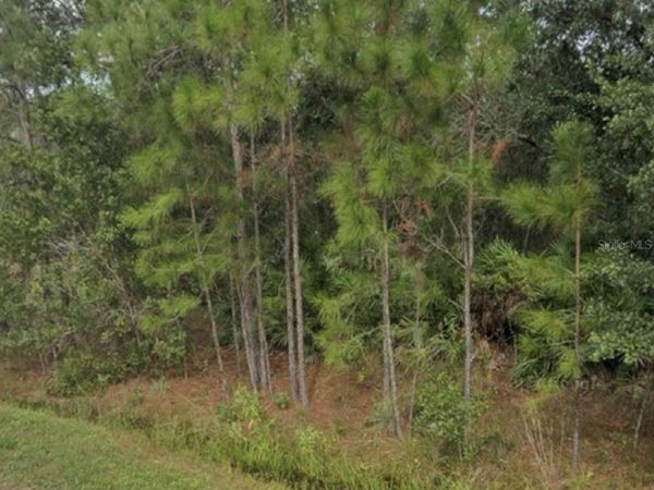 1437 TERN COURT , POINCIANA, FL 34759
