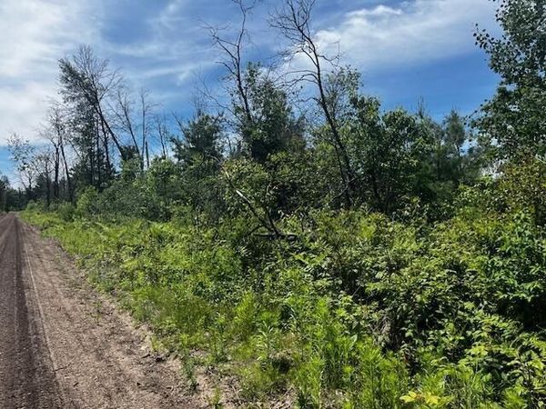 Parcel 2 Nelson Road, Idlewild, MI 49642