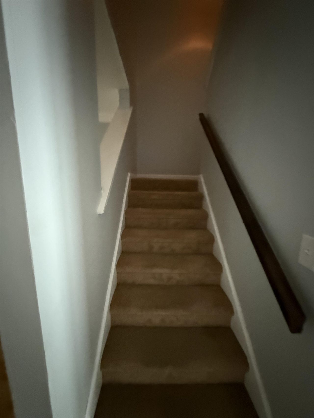 32 Shadow Moss Pl. Photo 38