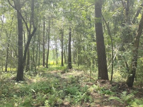 0 COX Road, Monticello, FL 32344