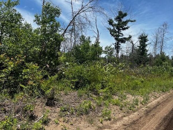 Parcel 3 Nelson Road, Idlewild, MI 49642
