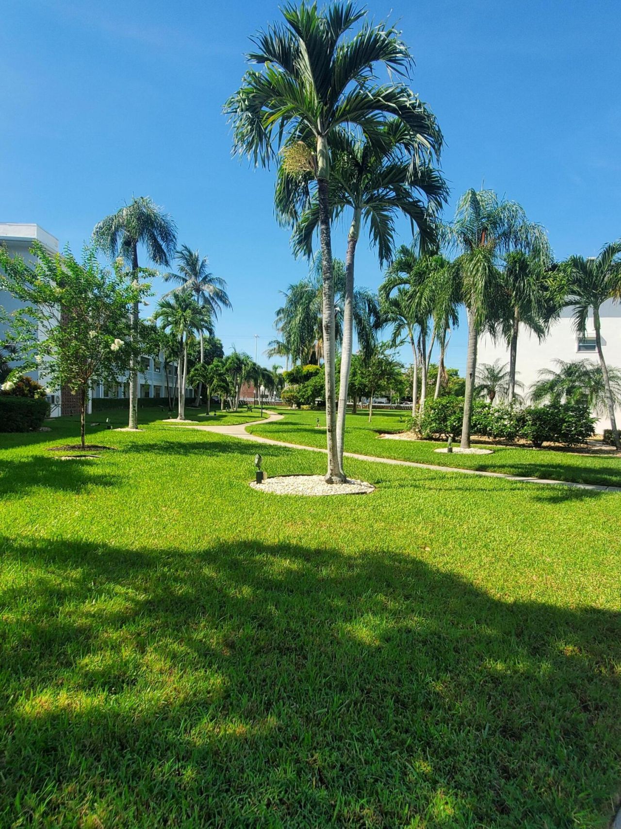 5203 NE 24th Terrace, Unit B108, Fort Lauderdale, FL 33308 Photo
