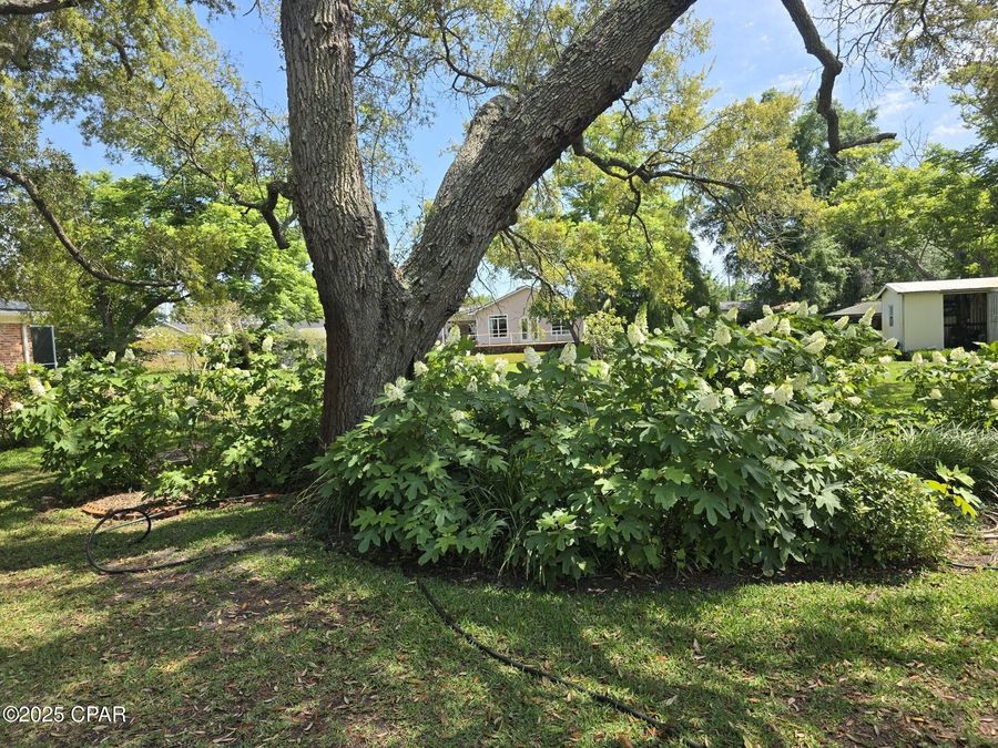 Property Image 77