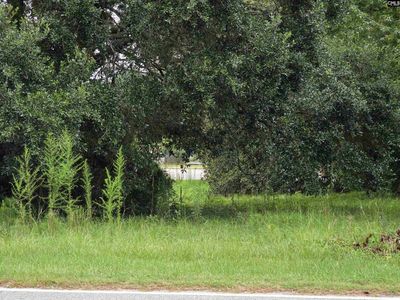 1711 Chestnut Street, Orangeburg, SC 29115