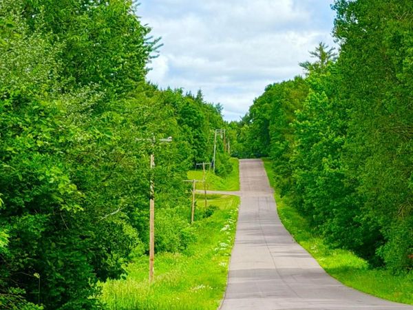 N3860 Kostka Road , Ladysmith, WI 54848