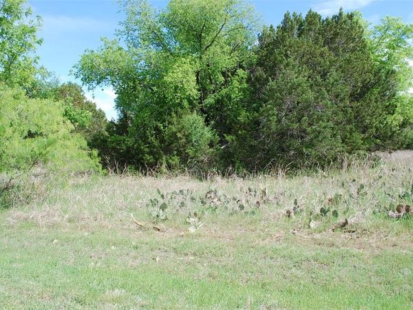 45011 Fringewood Drive , Whitney, TX 76692