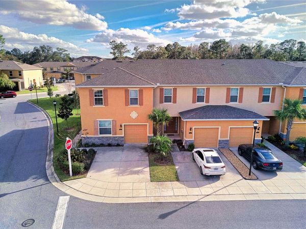 13967 RIVER WILLOW PLACE , TAMPA, FL 33637