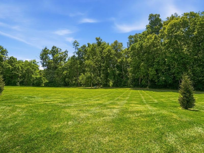 141 Olivers Trail, Adams Twp, OH 45177 Photo 74