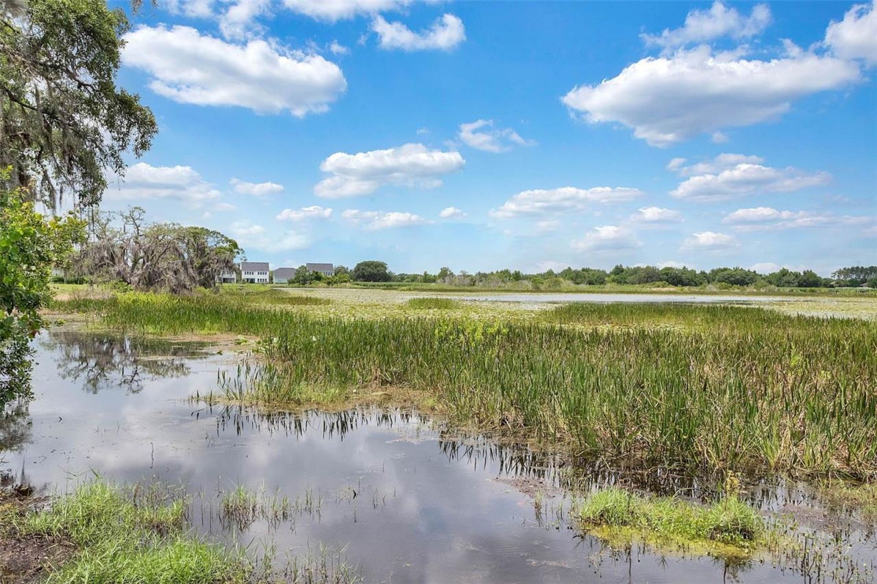 7242 Serenity Bend, Windermere, FL 34786 Photo
